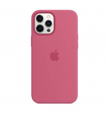 Чохол Silicone Case Full Cover для iPhone 12 Pro Max Dragon Fruit